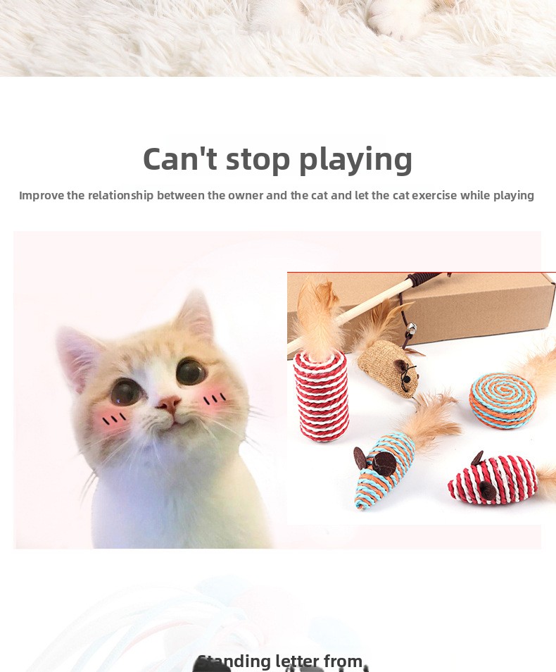 猫棒_05.jpg