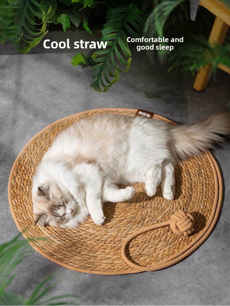 hmqViviiyNSAyin9WuaQt/ogEkOqbZ68Y8Vk