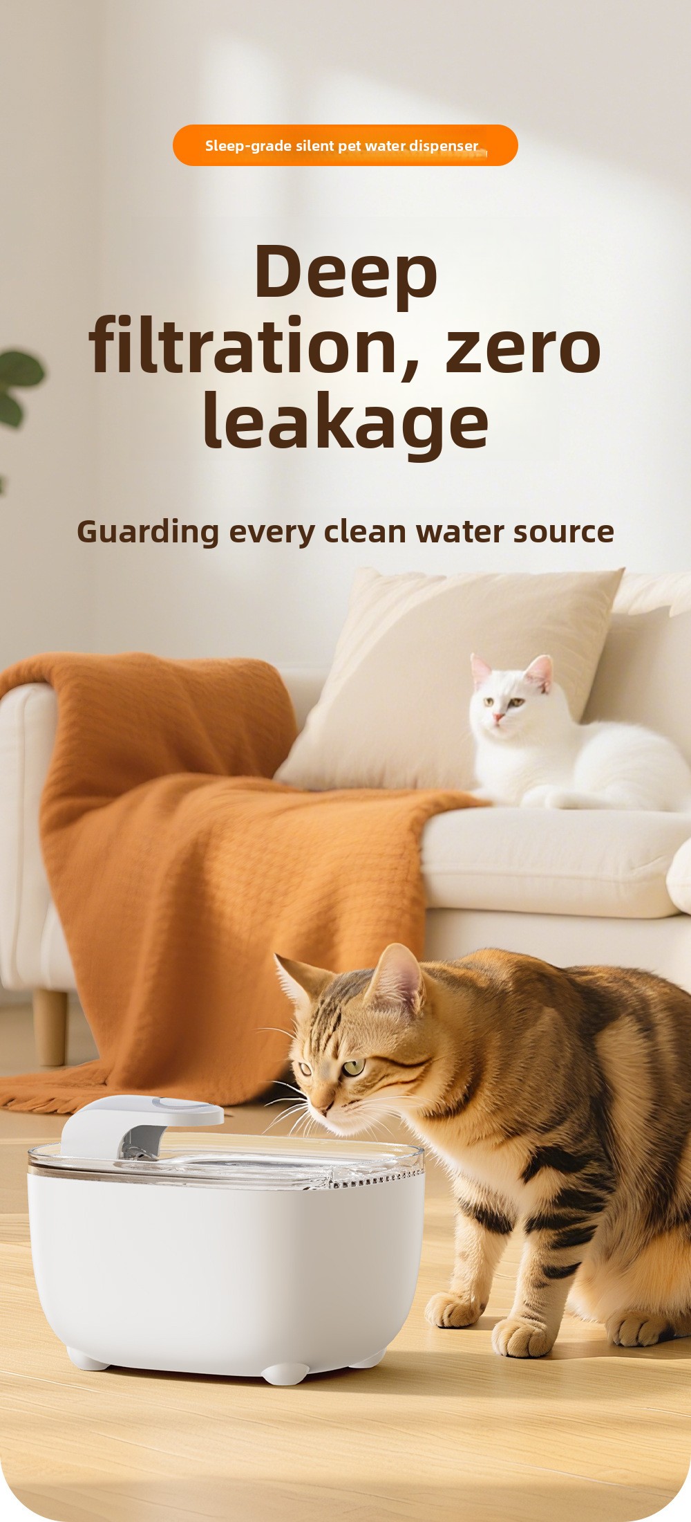 hmqViviiyNSAyin9WueXt+1+rewNESaVZl6W