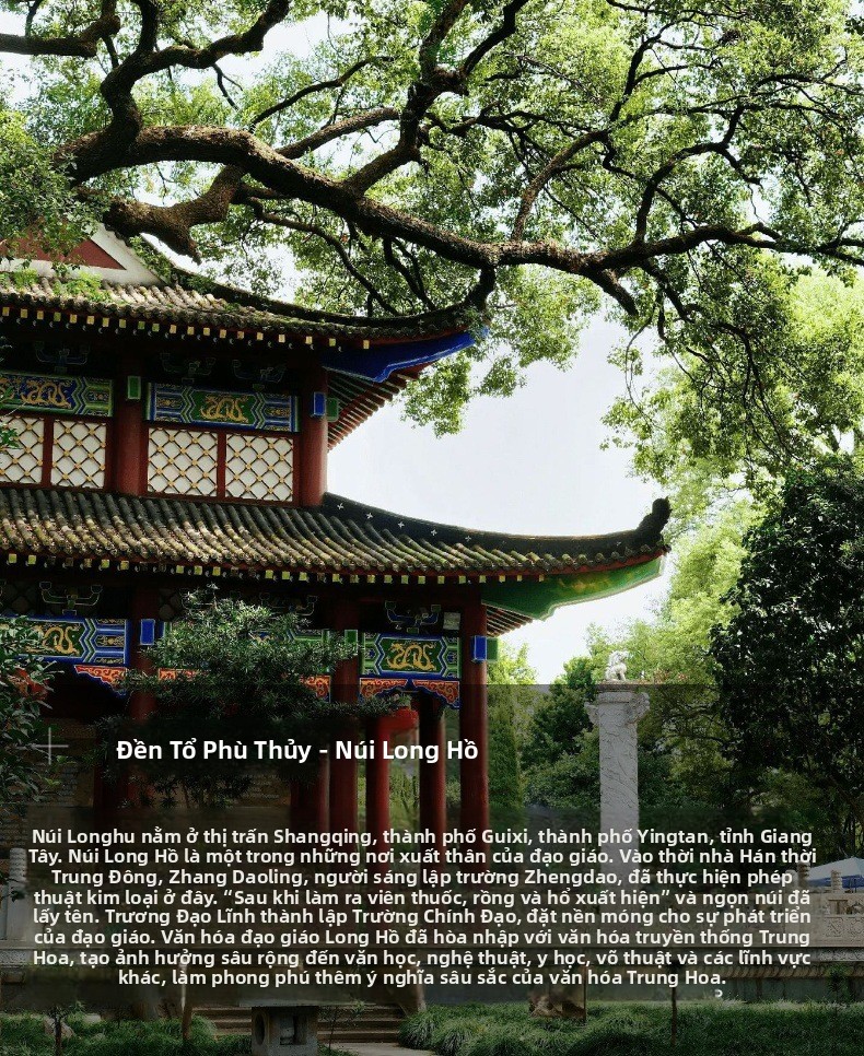 hmqViviiyNSAyin9WueUtwYH4wmmJwyG4JoO